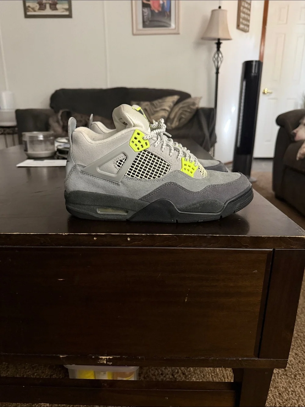 Air Jordan 4 SE 95 Neons